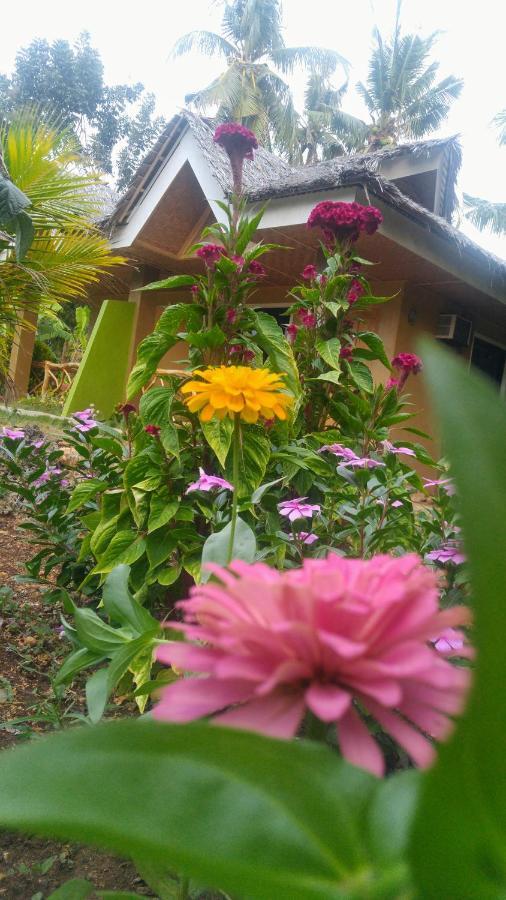 Miki'S Guest House Siquijor Buitenkant foto